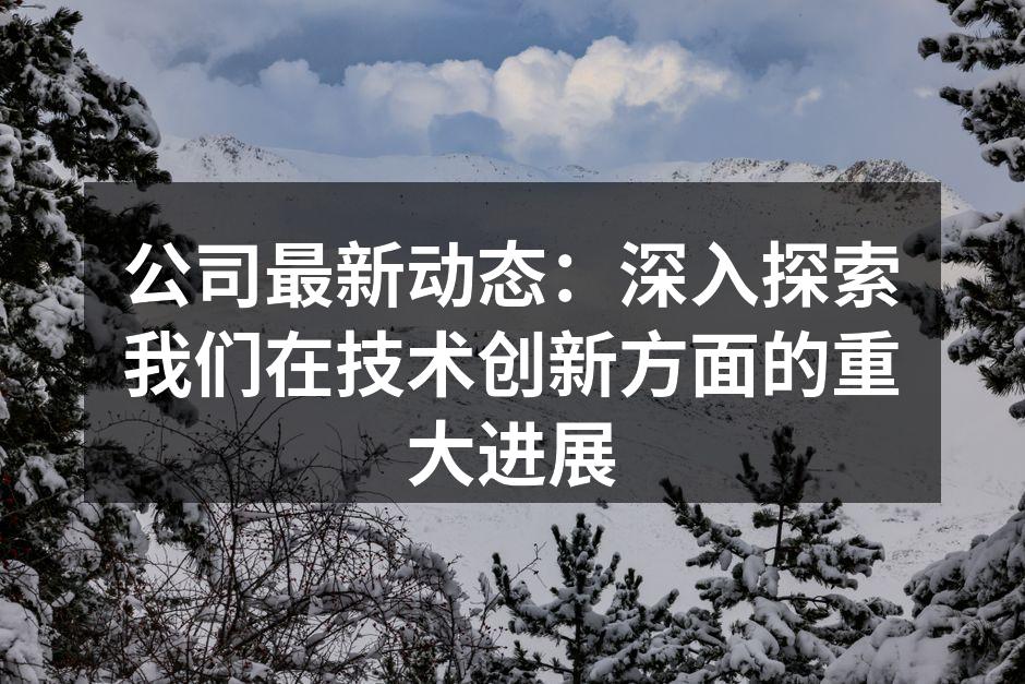 公司最新动态：深入探索我们在技术创新方面
